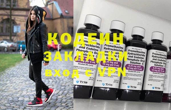 прущие грибы Елабуга