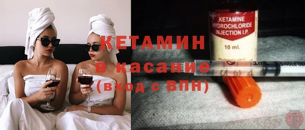 прущие грибы Елабуга