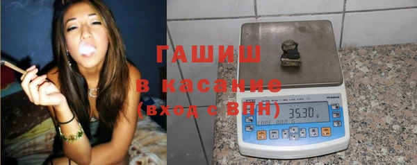спиды Ельня