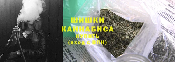 спиды Ельня