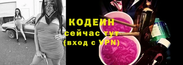 прущие грибы Елабуга