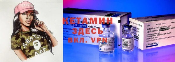 спиды Ельня