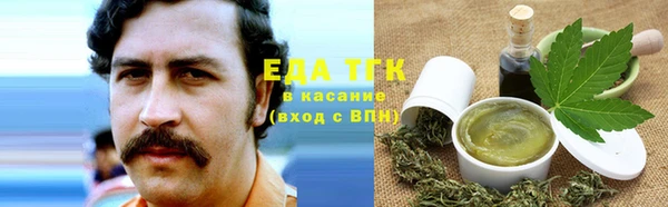 спиды Ельня