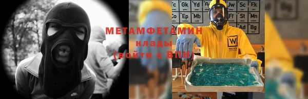прущие грибы Елабуга