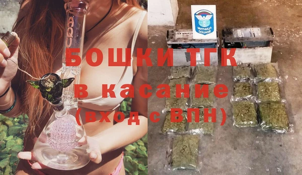 прущие грибы Елабуга