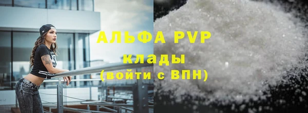 спиды Ельня