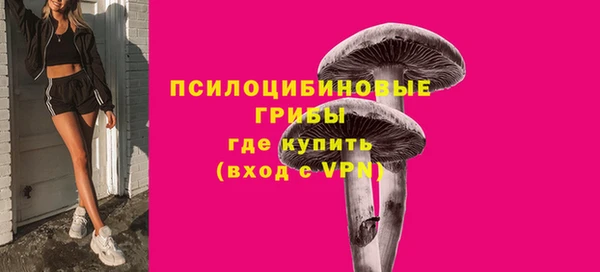 СК Елизово