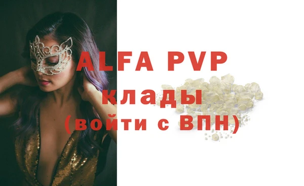 прущие грибы Елабуга