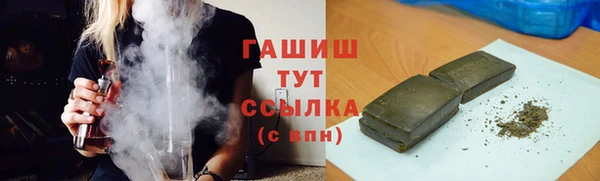 СК Елизово