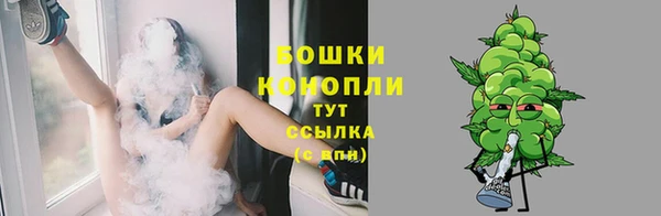 индика Заволжск