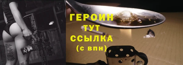 прущие грибы Елабуга