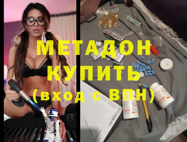 прущие грибы Елабуга