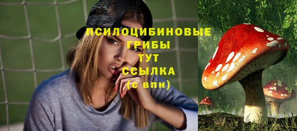 индика Заволжск