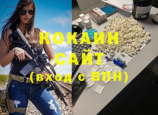 прущие грибы Елабуга