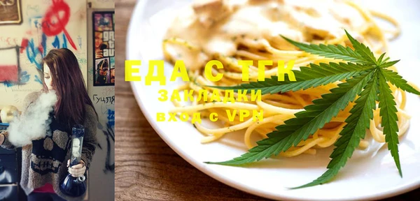 спиды Ельня