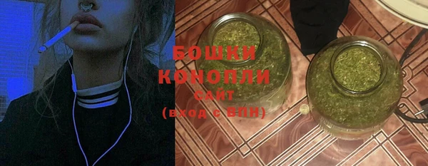 спиды Ельня