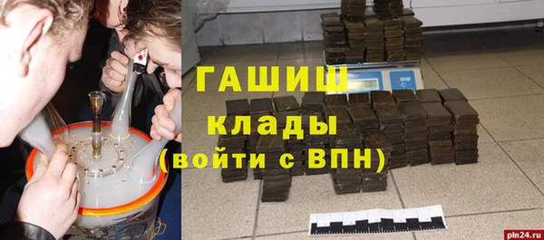 спиды Ельня