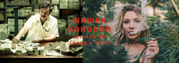 СК Елизово