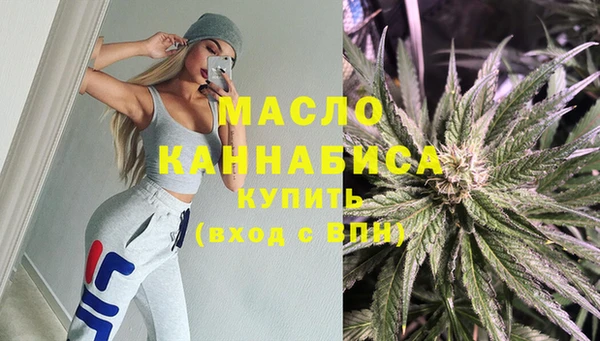 прущие грибы Елабуга