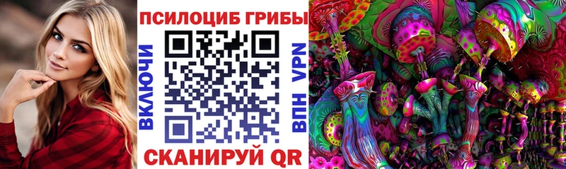 Псилоцибиновые грибы мухоморы  сайты даркнета клад  Муром 