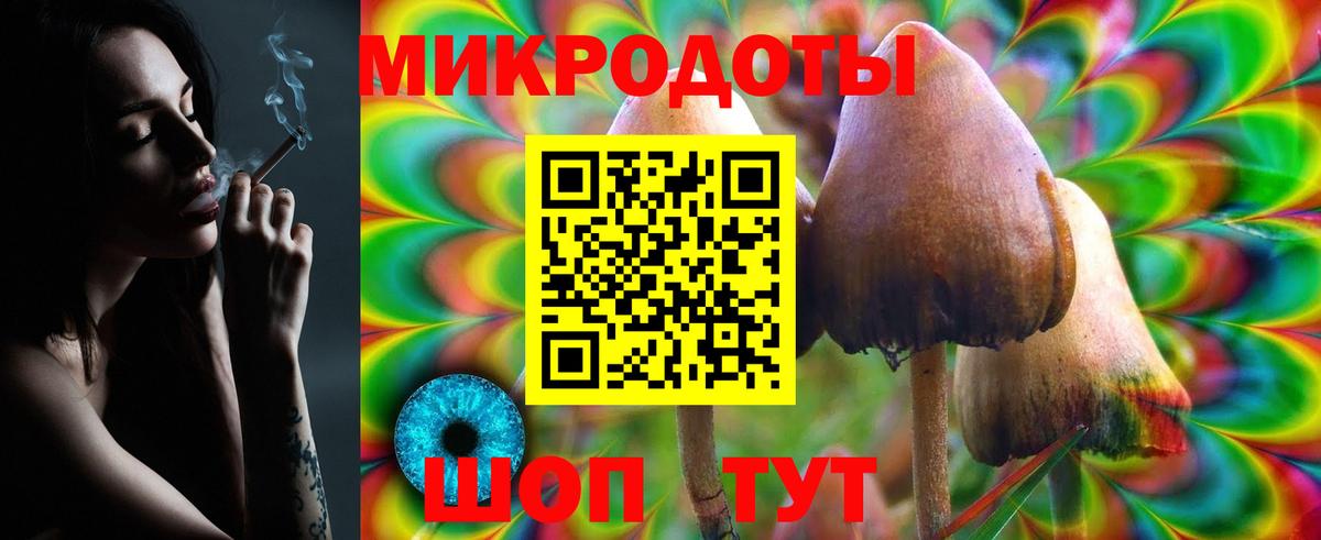 Псилоцибиновые грибы Psilocybe  Псилоцибиновые грибы мицелий  Вход с VPN  Муром 